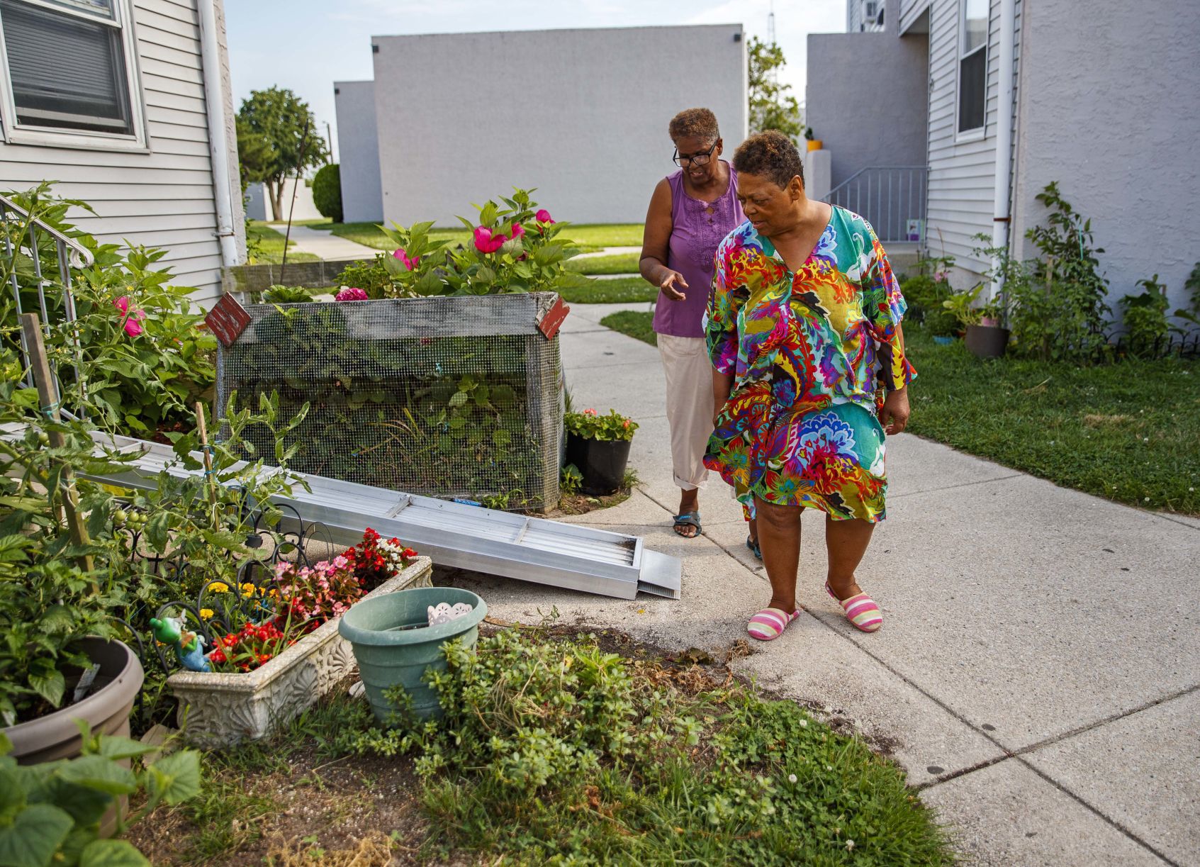 A friendship, and a garden, continue to grow